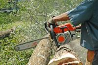 Blacktown Tree Services image 3